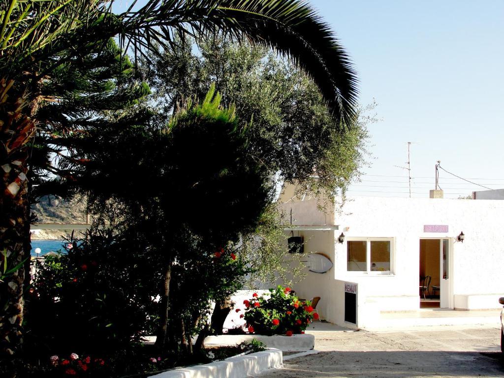 Purple Pig Stars Camping & Bungalows مِلوبوتاس المظهر الخارجي الصورة